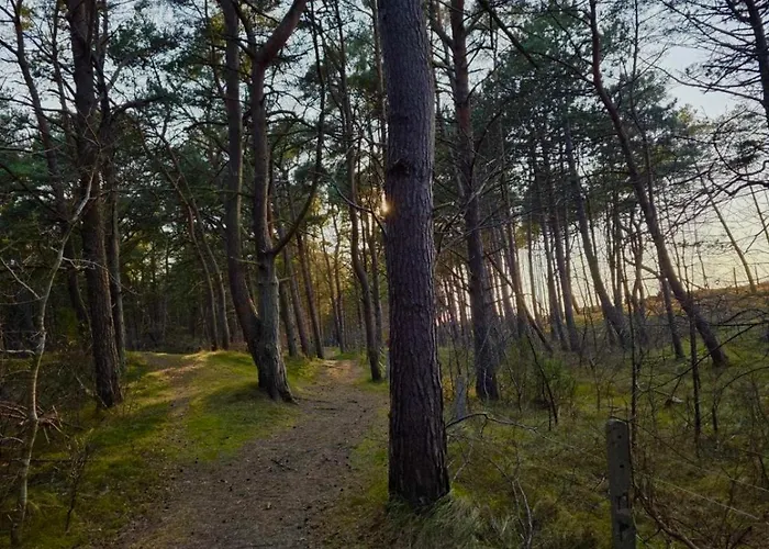 Krystal - Kompleks Hevenia